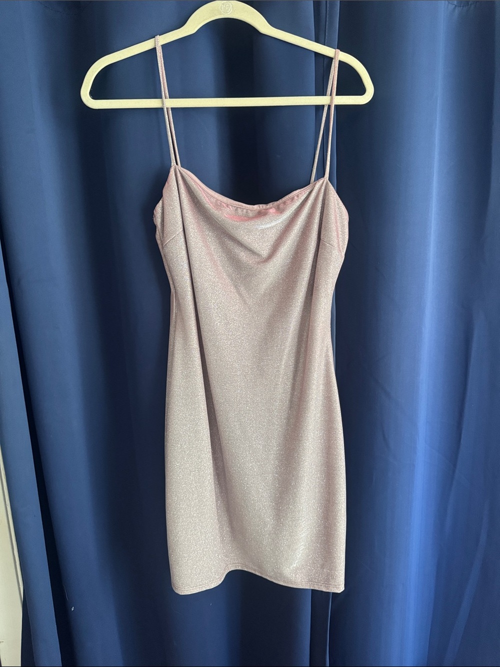 Windsor Shimmery Rose Slip Mini Dress